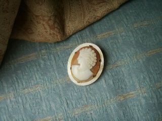 Old Vintage 1960s Gold Plated Italian Carved Shell Cameo of a Lady Brooch Pin 2