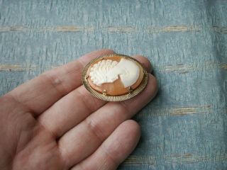 Old Vintage 1960s Gold Plated Italian Carved Shell Cameo of a Lady Brooch Pin 5