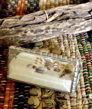 Vintage Terrarium Sand & Shells Beveled Glass - Find The Seahorse