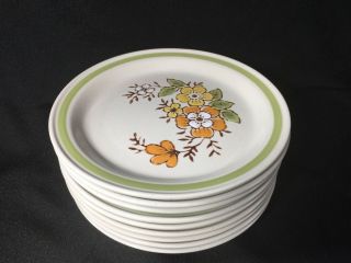 9 Vintage 70s Country Casual Spring Garden Stoneware Salad Dessert Plates