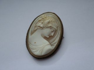 Vintage Circa Early 20th Century Shell Cameo Brooch