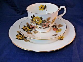 Rosina Vintage Tea Cup,  Saucer,  And Sandwich Plate - Fine Bone China - England