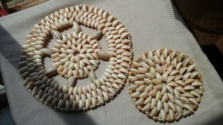 Vtg (2) Glossy Conch Sea Shell Trivets 9 " & 5 1/2 " Great For Beach/lake House.