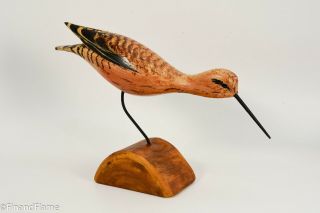 Jim Slack Shorebird The Curlew Signed By Artist Gh345