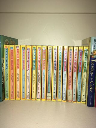trixie belden books 2