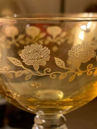 Vintage Fostoria Garland Topaz Champagne/Sherbert Glasses Stem 4020 7