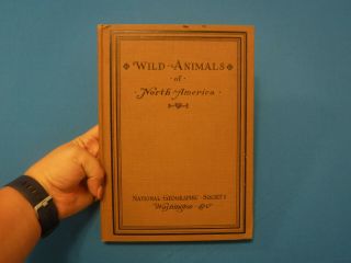 Wild Animals Of North America - Edward W.  Nelson,  1918,  Illustrated