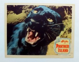 Vtg 1949 Bomba On Panther Island Black Jungle Cat Johnny Sheffield Lobby Card
