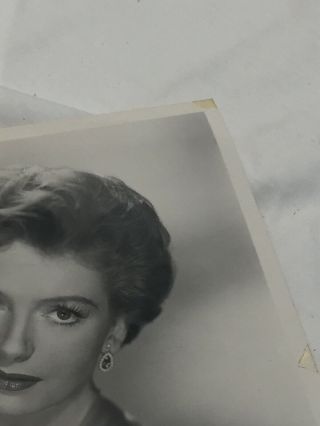 Vintage Black And White Photo Of Deborah Kerr 55 - 95 5