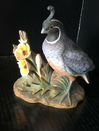 Vintage Andrea By Sadek Porcelain Bird Figurine California Quail 6” H