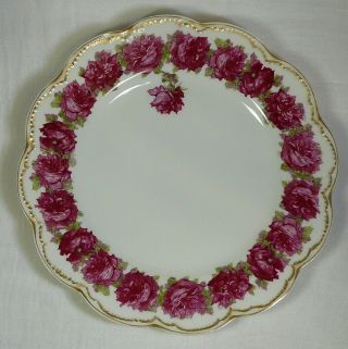 (chipped) Haviland Limoges Drop Rose Dinner Plate 9.  75 " Vintage Porcelain