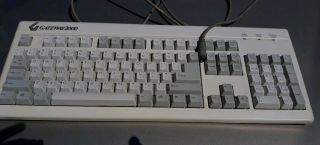 Vintage Keyboard Mechanical Clicky 6 Pin Gateway 2000 Only To Test Nwob
