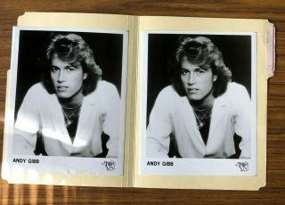 Andy Gibb Vintage Celebrity Photos