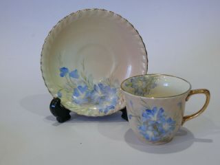 Vintage Australian Hand Painted China Cup And Saucer C.  M.  Bailey