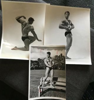 3 Vintage Bodybuilder Photos Reg Park Dennis Busch Male Physiques In Briefs