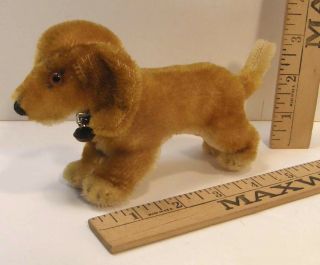 Mini Vintage Steiff Mohair Bazi Dachshund Puppy Dog W/blue Collar Jointed Head