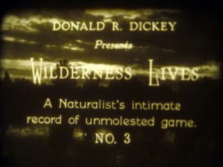 Kodak Cinegraph Wilderness Lives No.  3 16mm Film Bw/silent 100’