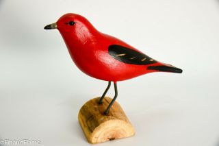 Jim Slack Song Bird Scarlet Tanager Signed By Artist Gh227