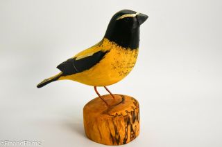 Jim Slack Song Bird Evening Grosbeak Signed By Artist Gh306