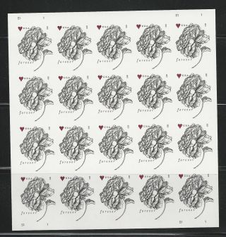 2015 4959 Imperf Vintage Rose Pane Of 20 Without Die Cuts Mnh