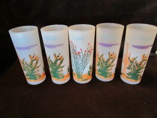 Mcm Set 5 1950’s Blakely Oil Arizona Cactus Frosted Glass Tumblers Iced Tea Vtg