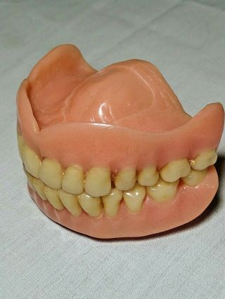 False Teeth Dentures Full Upper & Lower Real Vintage Prop Halloween Decor