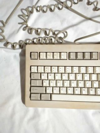 Vintage Cherry Wired Keyboard G81 - 1800LAAUS/01 5 Pin Made in Germany 2
