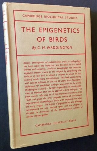 C H.  Waddington / The Epigenetics Of Birds 1952