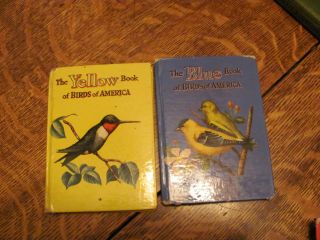The Yellow And Blue Book Of Birds Of America 1954