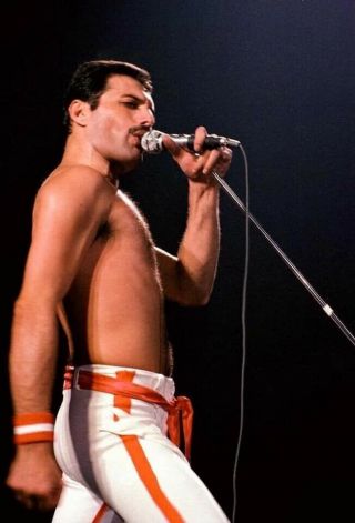 Queen Freddie Mercury Sexy Shirtless Vintage Concert 8x11 Glossy Photo Print Rp