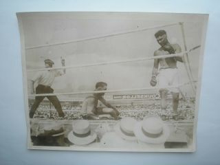 Boxing Photo Vintage Boxe,  Jack Dempsey X Jess Willard