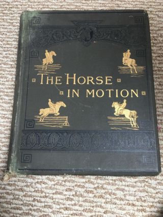 1882 The Horse In Motion By Instantaneous Photography By J.  D.  B Stillman