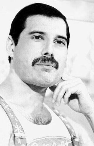Freddie Mercury Queen Vintage Photo 8 X 11 Inch Print Rp