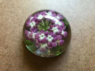 Vintage W.  Rolfe Signed Purple Flowers Enclosed In Acrylic Lucite Paperweight