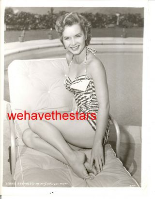 Vintage Debbie Reynolds Sexy Swimsuit Pinup Mgm Early 50s Publicity Portrait