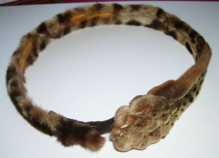 Vintage Bobcat Fur Taxidermy Hatband Hand Made From Tanned Fur Inside 22 Inches