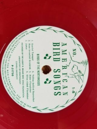 Wonderful Vintage American BIRD SONGS Red Vinyl 6 record Set 78 rpm 4