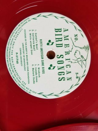 Wonderful Vintage American BIRD SONGS Red Vinyl 6 record Set 78 rpm 8