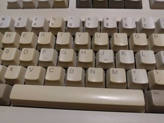 Vintage DELL Mechanical Keyboard AT101W Clicky Switches PS/2 PS2, 2