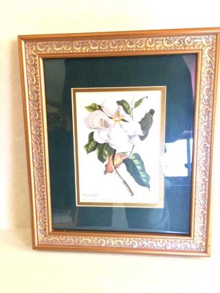 Vintage Gold Ornate Wood Frame Magnolia Flower Matted Under Glass