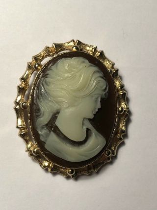 Vintage Brown Cameo In Gold Tone Ornate Oval Raised Depth Pin Brooch