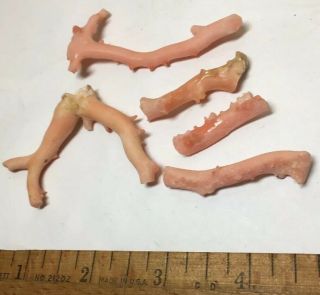 25 Grams Salmon Coral Raw Vintage Branches 6