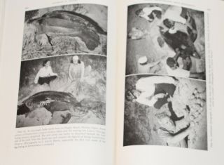 1st Ed.  - Handbook of Turtles - Turtles of the US,  Canada and Baja California 6