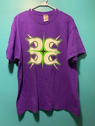 Wwe Wwf Vintage 2001 Hardy Boyz 3 Extreme Purple T - Shirt Xl Fruit Of The Loom
