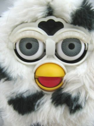 Vtg Furby Baby White with Black Spots 70 - 800 1998 Spotted 1c w Tag 3
