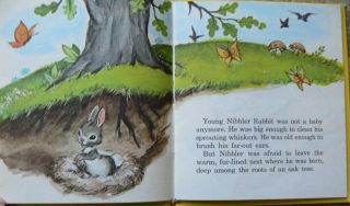 3 Vintage Whitman Tell - a - Tale Books NIBBLER,  THE LION ' S HAIRCUT,  HUNGRY LION 5