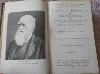 1892 Charles Darwin Voyage Hms Beagle Round World Antiquarian Natural History