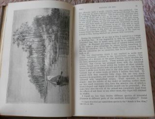 1892 Charles Darwin Voyage HMS Beagle Round World Antiquarian Natural History 4