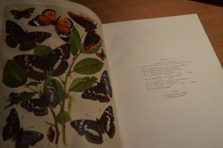 The Butterflies And Moths Of Europe By WF Kirby 1907 Illustrated Leather Bound 4