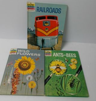 The How And Why Book Of Wild Flowers Ants And Bees Railroads 1960 